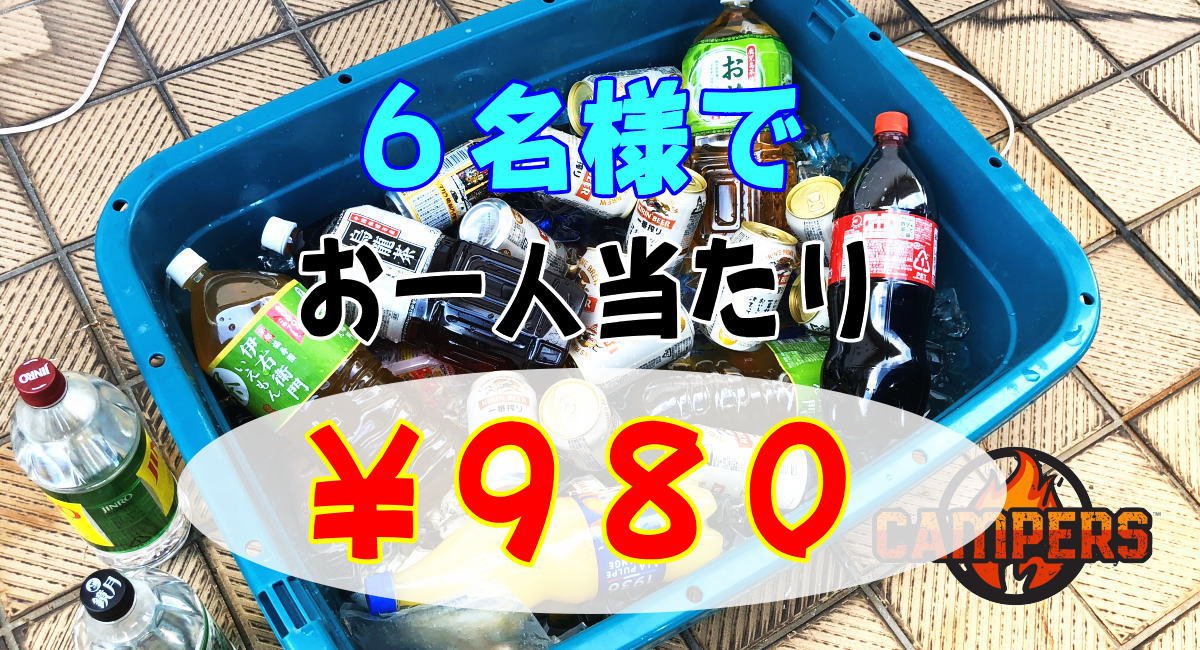 アルコール+ドリンクセット(合計12本)