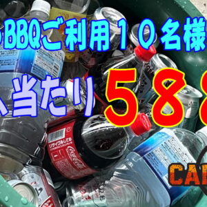 ソフトドリンク(大)2ℓ×12本