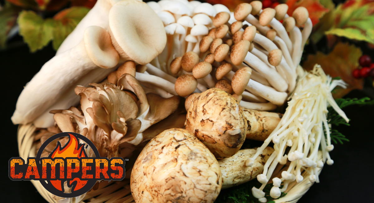 手ぶらで松茸飯と獅子鍋山の幸BBQ - 画像 (2)