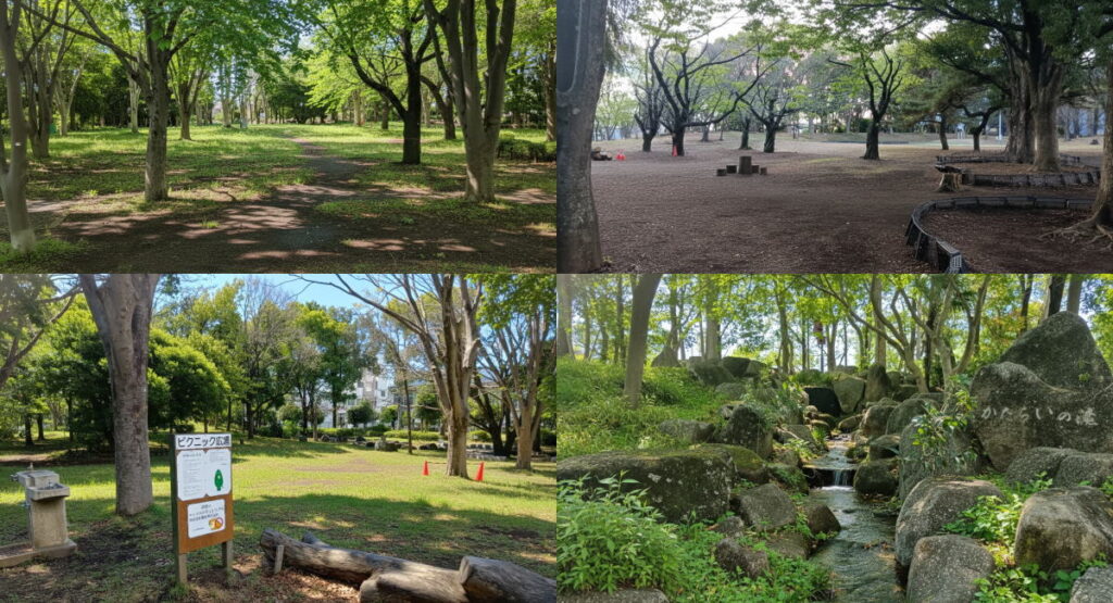 大和市引地台公園のピクニック広場