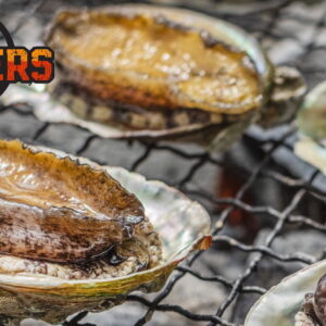 直送天然アワビ