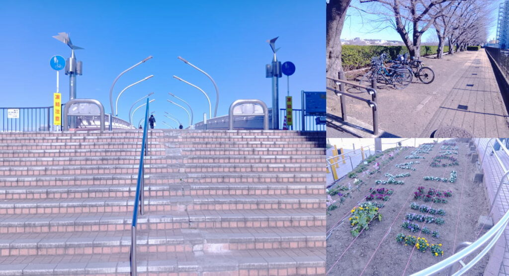 鶴見川の鴨池橋と無料駐輪場