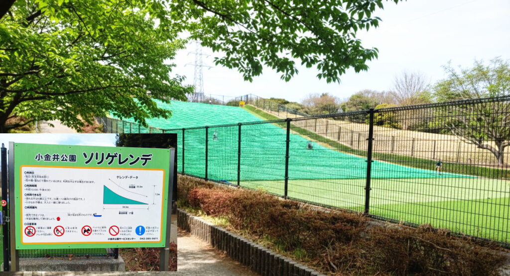 小金井公園のゲレンデ