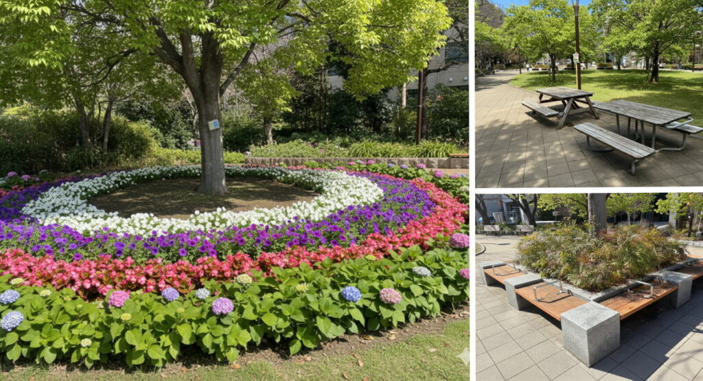 中央区築地川公園の広場