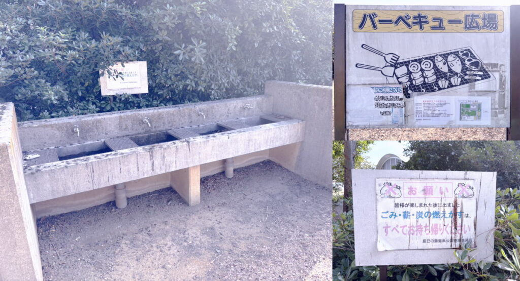 江東区辰巳の森海浜公園のバーベキュー広場